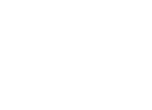 Salty Beach Bar